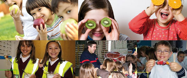 Comienza el curso escolar y el programa Conoce los alimentos