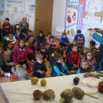 Colegio "Padre Manjon - Pedro Martinez" - MercaGranada SA