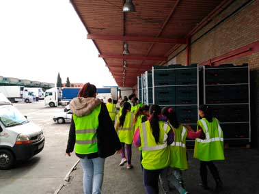 Colegio "Ciudad de los niños" - MercaGranada SA