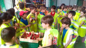 Colegio El Olivarillo - MercaGranada SA