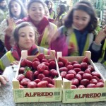 Colegio "Albencerrajes" - MercaGranada SA