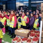 Colegio "Las Mimbres" - MercaGranada SA