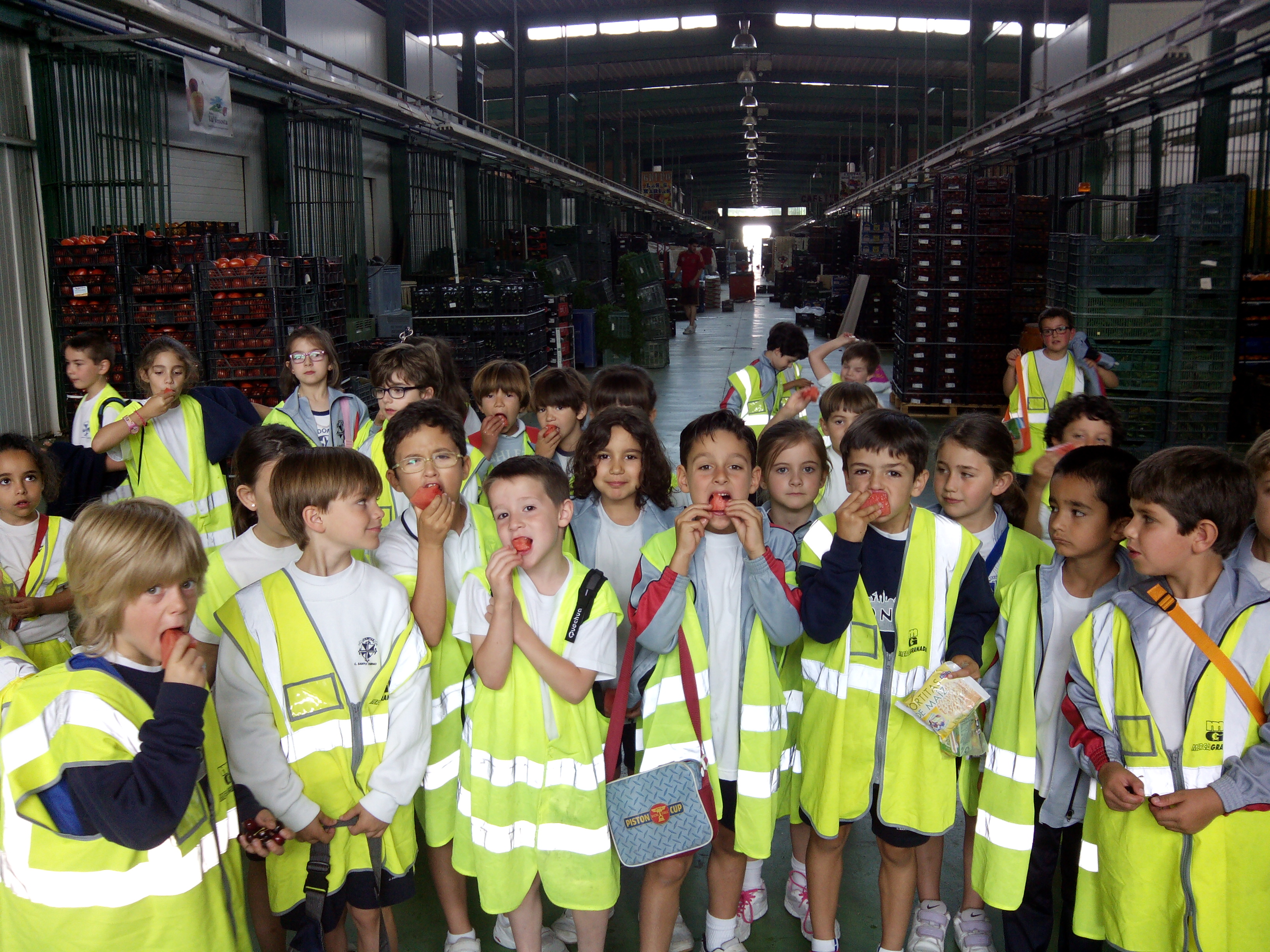 Colegio "Santo Domingo" - MercaGranada SA