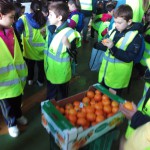 Colegio "Cerrillo de Maracena" - MercaGranada SA