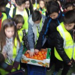 Colegio "Virgen de la Cabeza" - MercaGranada SA