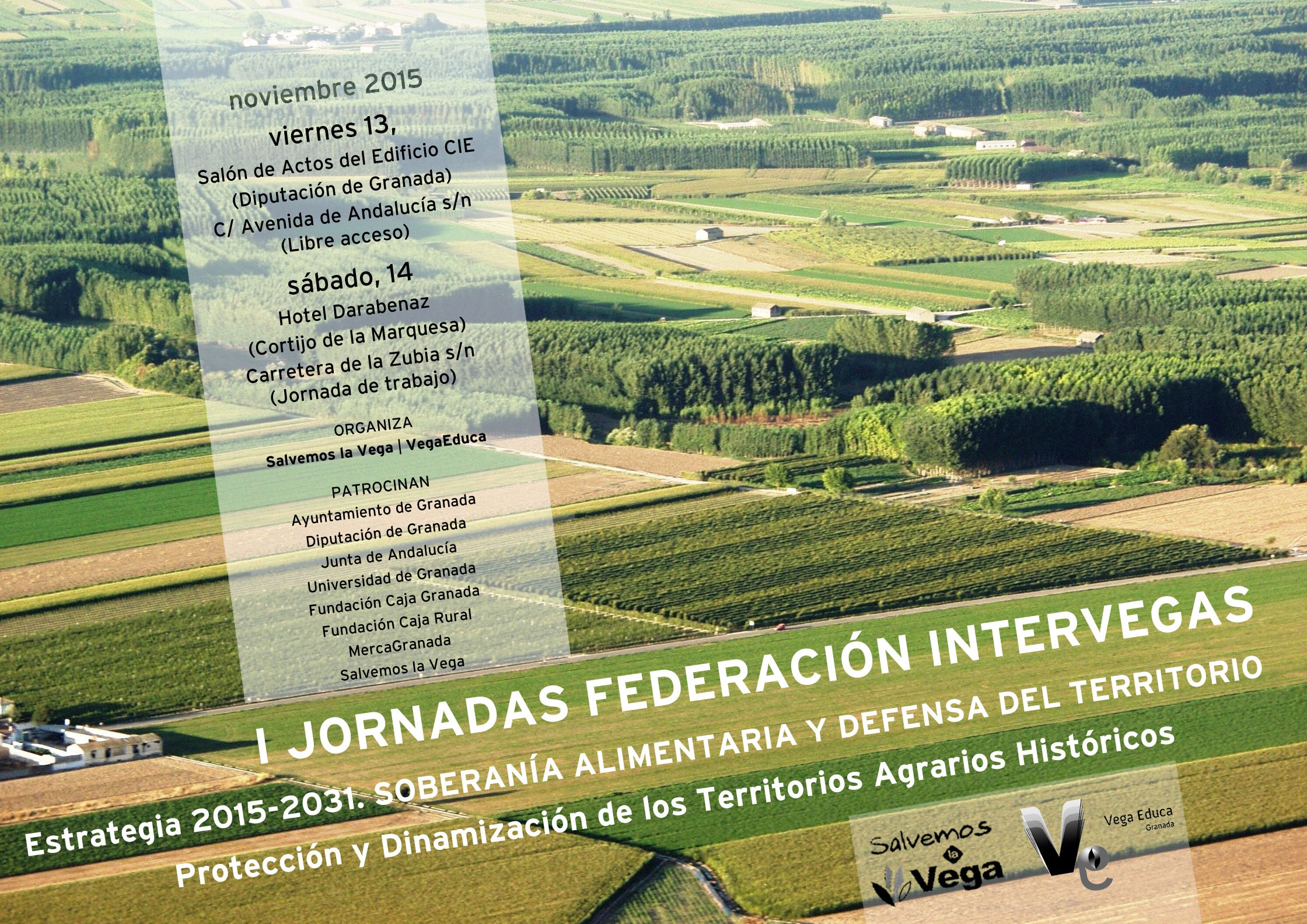 mercagranada-jornada-federacion-intervegas